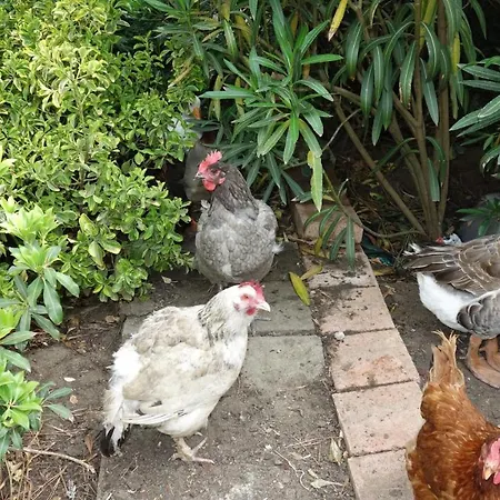 Hostelry Restaurant Prive Bed & Breakfast Écully